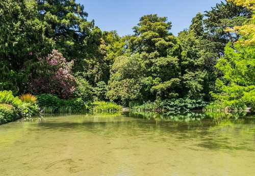 Hagley Park and the Botanic Gardens